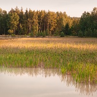 Kliknte pro zobrazen tto fotografie